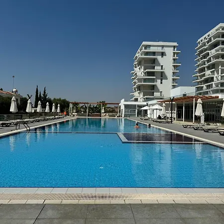Abelia Relax For Family