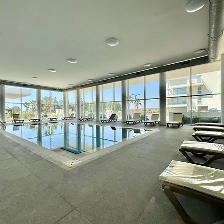 Abelia Relax For Family *
