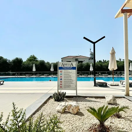 Abelia Relax For Family
